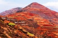 Stunning scenery landscape of wheat terraces and ancient village on the high mountains, Ã¢â¬ÅRed LandÃ¢â¬Â of Dongchuan, China